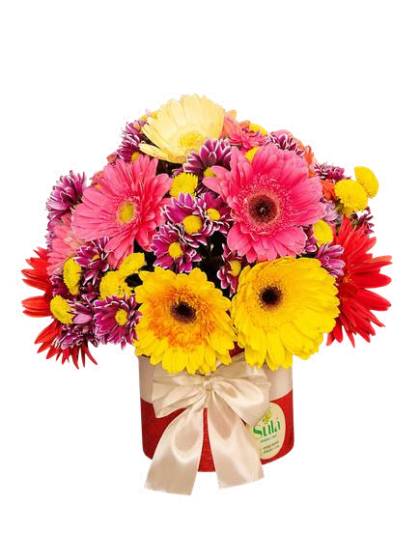 Box Bell de gerberas