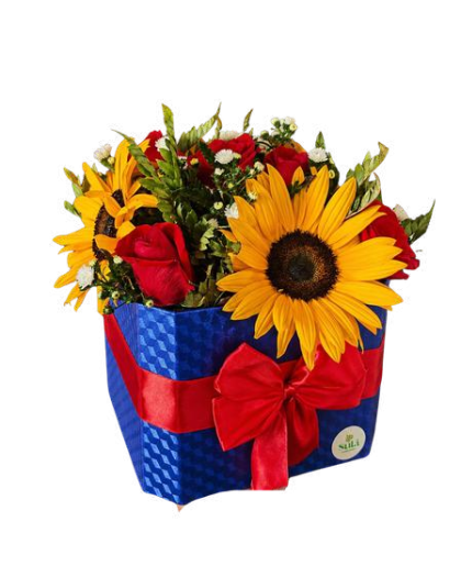 Box de flores mixtas
