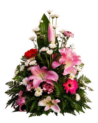 Frontal primaveral
